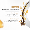 AvenaPlex™ Beard Growth Serum – Buy 2 Get 1 Free